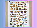 Foods, Vol. 1 - Repositionable A4 Inventory Sticker Sheet